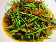 香菜牛肉-胡马八破·川菜小馆(高新万达店)