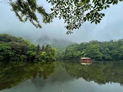 -青城山