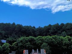 -铁山坪森林公园