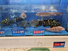 -益利大酒楼(井岸店)