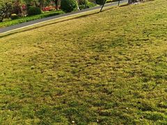 景点-白鹭洲公园