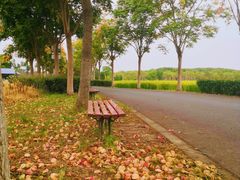 -嘉北郊野公园