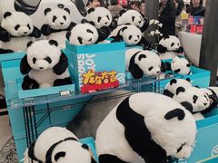 -熊猫屋(宽窄巷子景区店)