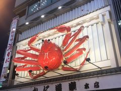 -蟹道乐(道顿堀本店)
