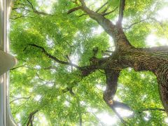 -湖北美术学院(昙华林校区)