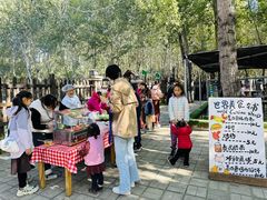 -北京梧桐树双语幼儿园