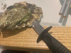 -绿岛港轩海鲜烤肉涮锅自助餐厅
