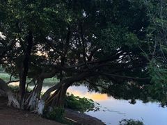 -梅州天地人花园酒店(梅县人民广场店)