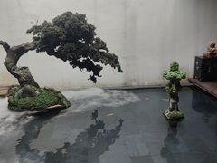 -觀芷隐轩