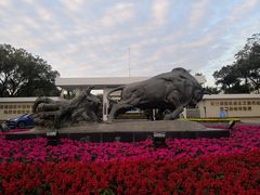 -荔枝公园-小平画像广场