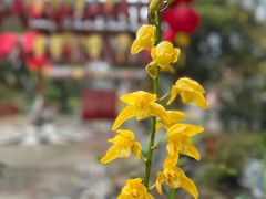 -福州开元寺