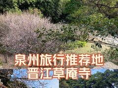 -草庵摩尼教遗址公园