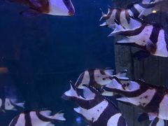 -成都浩海立方海洋公园