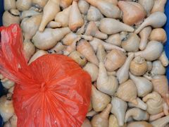 -芦潮港集贸市场