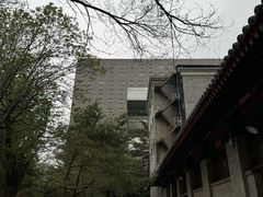-中央民族大学