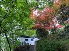 -幕燕滨江·燕子矶公园