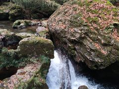 -龙苍沟森林公园