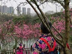 -重庆彩云湖湿地公园