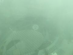 -澳门旅游塔360°旋转餐厅(南湾湖广场店)