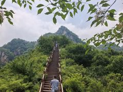 -大岭沟猕猴桃谷风景区