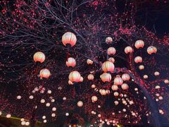 -中国翰园碑林
