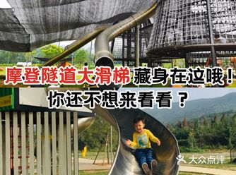 摩登隧道大滑梯藏身在这哦！你还不想来看看？