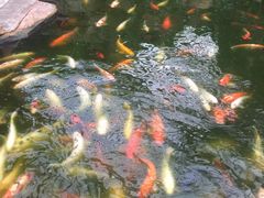 -龙达温泉生态城