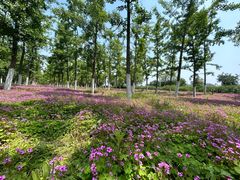 -汉长安城未央宫国家考古遗址公园