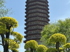 -西海子公园