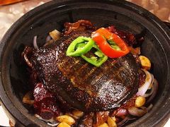 水鱼焖肉-富春(瘦西湖店)