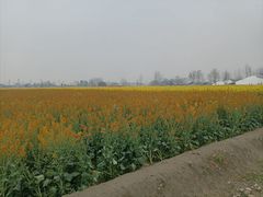 -中国天府农业博览园