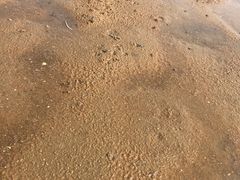 -在海一方公园
