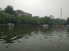 -莲湖公园