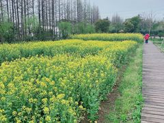 -前小桔亲子创意农场·草莓采摘·露营烧烤