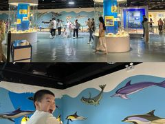 -西安曲江海洋极地公园