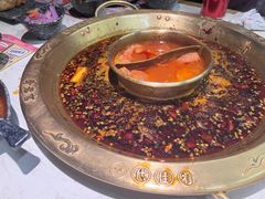 -哥老官重庆美蛙鱼头(西湖银泰十一哥店)