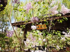 -大兴滨河森林公园