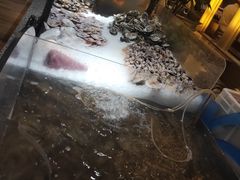 -常州环球恐龙城维景国际大酒店