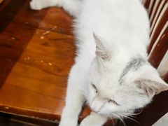 -岳合轩老北京涮肉