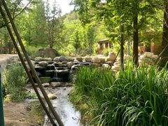 -白水寺森林公园