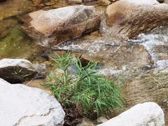 -黑龙潭风景区