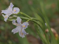 -浙江万里学院(钱湖校区)