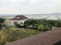 -大湾区中央湿地公园
