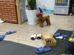 -FIGHTMAN格斗俱乐部(长宁临空店)