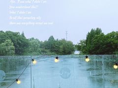 -千叶创意融合料理(水韵城店)