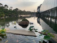 -罗红摄影艺术馆