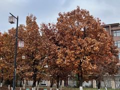 -辽宁大学(崇山校区)