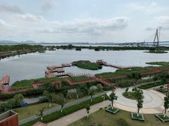 -芒洲湿地公园