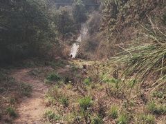 -青龙山国家森林公园