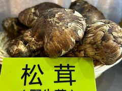 -菌海森林·非遗野生菌火锅(西山区滇池路摩根道店)